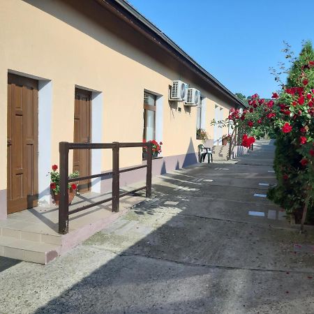 Villa Legenda Anotimpurilor à Alma Extérieur photo