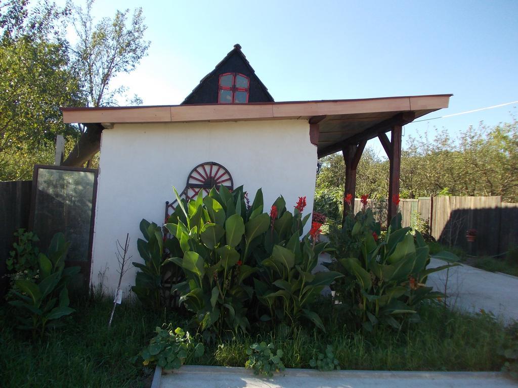 Villa Legenda Anotimpurilor à Alma Extérieur photo