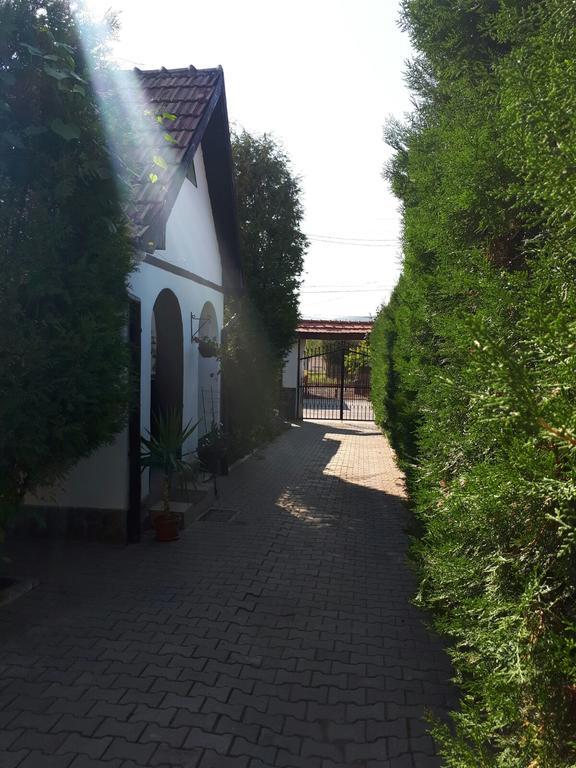 Villa Legenda Anotimpurilor à Alma Extérieur photo