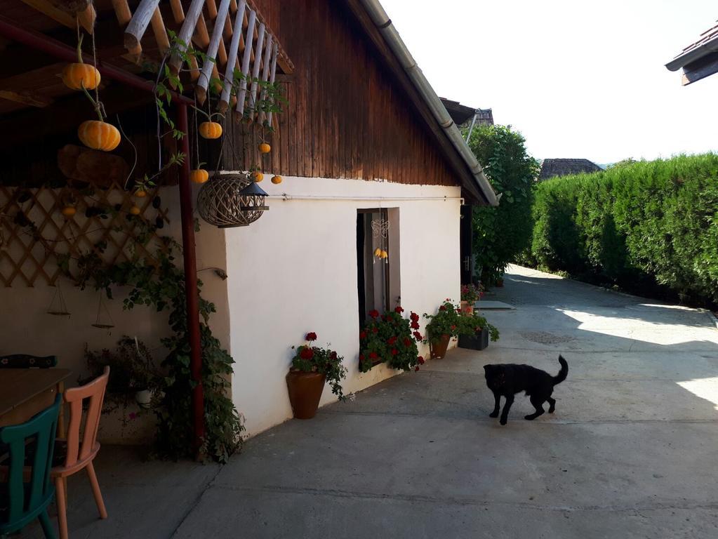 Villa Legenda Anotimpurilor à Alma Extérieur photo